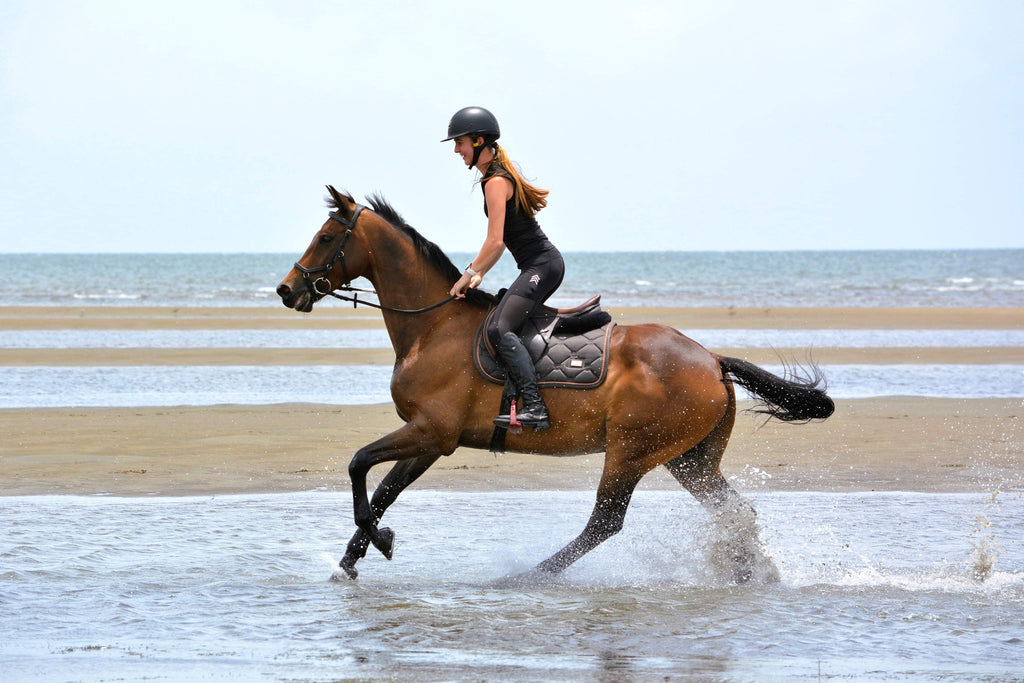 3 Equestrian Summer Essentials